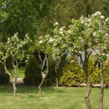 Charmehotel De stokerij te Oudenburg, West-Vlaanderen - Overnachten nabij Brugge, Oostende en De Haan